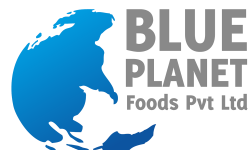 blue planet trans logo